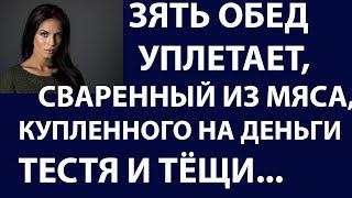 Истории из жизни  Зять обед уплетает, сваренный из мяса, купленного на деньги