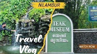 Nilambur teak museum⭐️/വന്യജീവികളെ കാണാൻ ഇവിടേക്ക് വരൂ ️/bio-national park nilambur