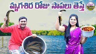 మృగశిరరోజుచేపలుతెతే|MRUGASHIRA CHEPALULatest UltimateMYVillageComedySHANKAR RAVALICOMEDY|villagecook