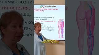 Peripheral nerve. Rehabilitation kinesiology! December 20-22, 2024 #kinesiology #oae #medical