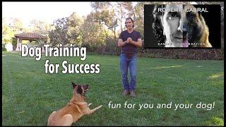 Dog Training for Success - Robert Cabral Dog Training #7