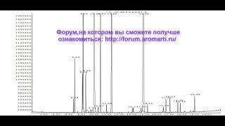 Мастер-класс от Арти. Что такое хроматограмма?