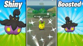 HOW TO GET SHINY SMOLIV IN POKEMON GO! Catching Shiny Pumpkaboo has Never Been EASIER!