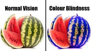 6  Facts About Color Blindness You'll Be Surprised to know