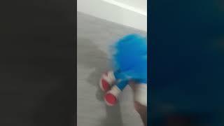 Pablo vs sonic