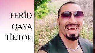 Fərid Qaya - Can ciyər TİKTOK VİDEOLARI