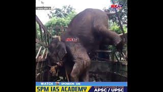 NKTV PLUSৰ বাতৰিৰ প্ৰভাৱ