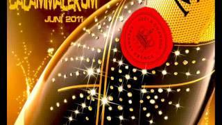 Salaam Malek "CalamMalekum" Snippet Juni 2011 Part 1 (Salaam Malek AFG)