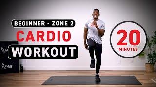 Beginner Zone 2 Cardio Workout - BODYWEIGHT/NO EQUIPMENT | 20 Minutes