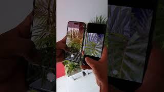 Apple iPhone 14 Pro Max Vs Sony Xperia 5 iii Main Camera Test Zooming Review