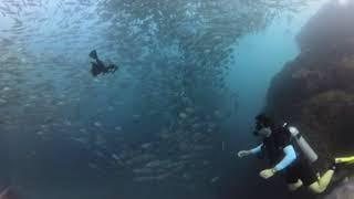 Sail Rock Dive 360 (25 Dec 2024)