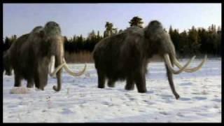 Tribute to Mammoths