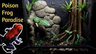 Creating a Massive Jungle Vivarium for Poison Dart Frogs - Vivarium Rebirth Part 4