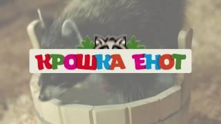 Крошка Енот