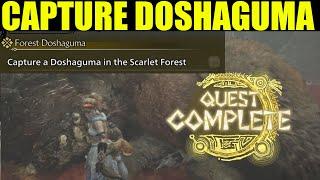 How to Capture a Doshaguma in the Scarlet Forest Monster Hunter Wild | Forest Doshaguma Quest Guide