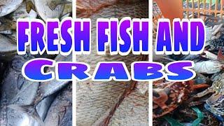 FRESH FISH AND CRABS IN THE MARKET