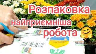 Розпаковка замовлення з Інтернет магазину "Супермаркет насіння  №①"