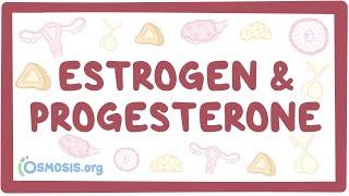 Estrogen & progesterone