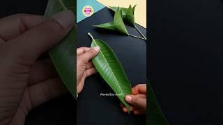 Mango Leaf Toran | Mango Leaf Decoration idea | #shorts #youtubeshorts #viral