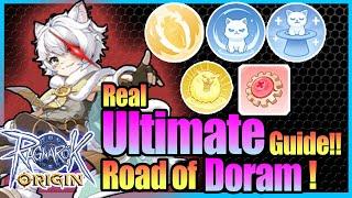 Real ULTIMATE Doram Guide!! Equipment, Skill with Tips Included!! [Ragnarok Origin Global]