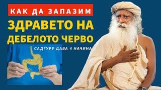 Как да запазим здравето на дебелото черво?! | 4 начина | Садгуру Даршан