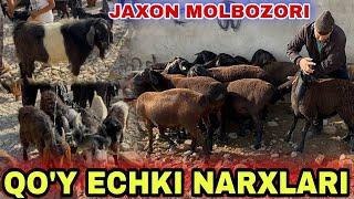 SURXONDARYO QIZIRIQ JAXON MOLBOZORI QO'Y QO'ZI QO'CHQOR ECHKI NARXLARI 22.09.2024