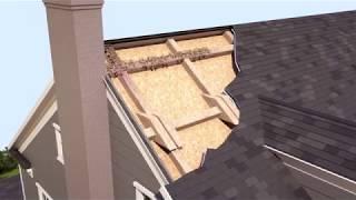 Drywood Termites: How Do They Get Into Homes & Signs of Drywood Termite Damage