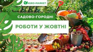 САДОВО-ГОРОДНІ РОБОТИ У ЖОВТНІ | Agro-Market.ua