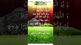 Surah Al Furqan Quran Recitation/Quran True Word #egzonibrahimi #quran #shorts