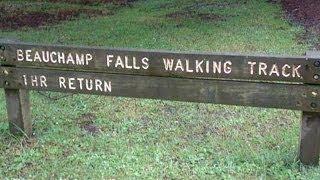 Yowie / Bigfoot Sighting (Audio Report #43) at the Beauchamp Falls (Otways), Victoria
