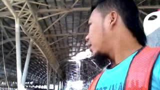 mesum di hutan