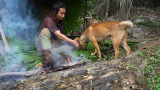 Making an Overnight Shelter, Harvesting Wild Vegetables: Survival Alone | EP.215