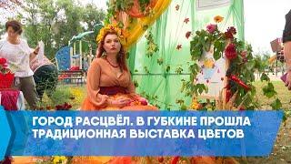 Город расцвёл. В Губкине прошла традиционная выставка цветов