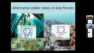 Vadim Karatayev - Understanding ecological resilience and synchrony at regional scales