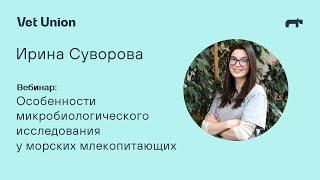 Особенности микробиологического исследования у морских млекопитающих