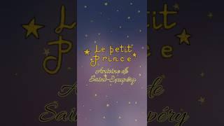 le petit prince [une carrière de peinture]