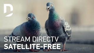 DIRECTV | For The Birds | The Good Stuff :30