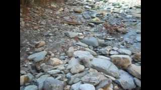 Finding the Pay Streak of Gold ( MOTHER-LOAD) Pt. 1 of  2.  Yankee Gold Prospecting Adv.