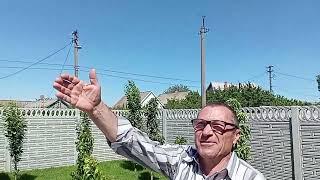 Мелитопольские голуби. Гости и оценка...