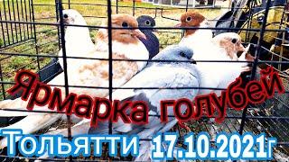 Ярмарка голубей Тольятти 17.10.21г