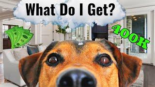 What You Get For $400K in Sacramento | Adopt a Dog Realtor