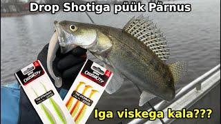 Drop Shotiga kalapüük Pärnu jõgi. Iga viskega kala???