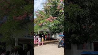 A hectic Day‍️#ytshorts #shortsfeed #trending #minivlog #shorts #short #ytshortsindia #trend