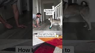 How I get my dog to motivate me to work out #dogs #dogsofinstagram #funnydog #smartdog #workout