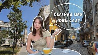 Почему я выбрала Нови Сад для жизни? 6 причин