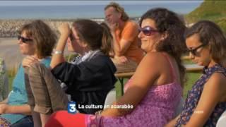 BA La culture en scarabée - sur France 3 Normandie