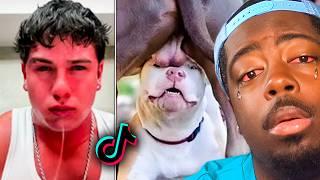 We watched TikTok memes for 7 Days Straight