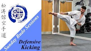 Sunday Budo Session Highlights - Defensive Geri Waza (Kicking)