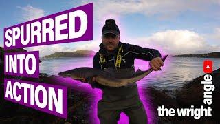 Shore Fishing uk Near Oban Argyll for Spurdog