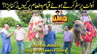 Camel ride | Saleem Albela and Goga Pasroori Very Funny Video Albela TV